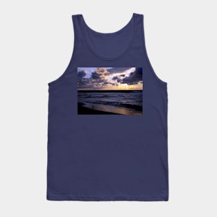 Seagull at lakeshore Tank Top